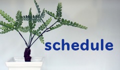 SAGAWA スケジュール