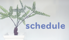 SAGAWA スケジュール